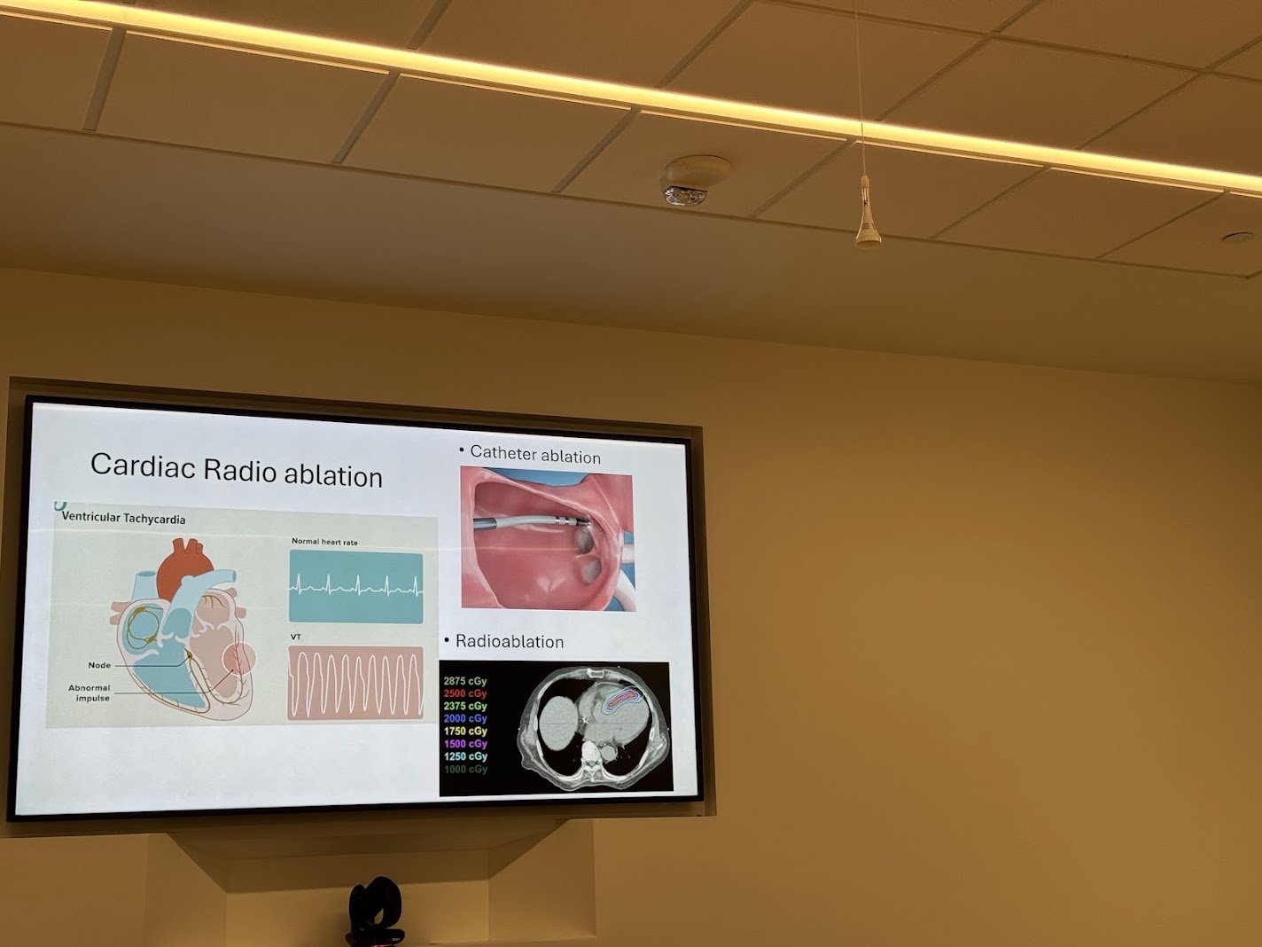 Cardiac radioablation – MIM scripting session